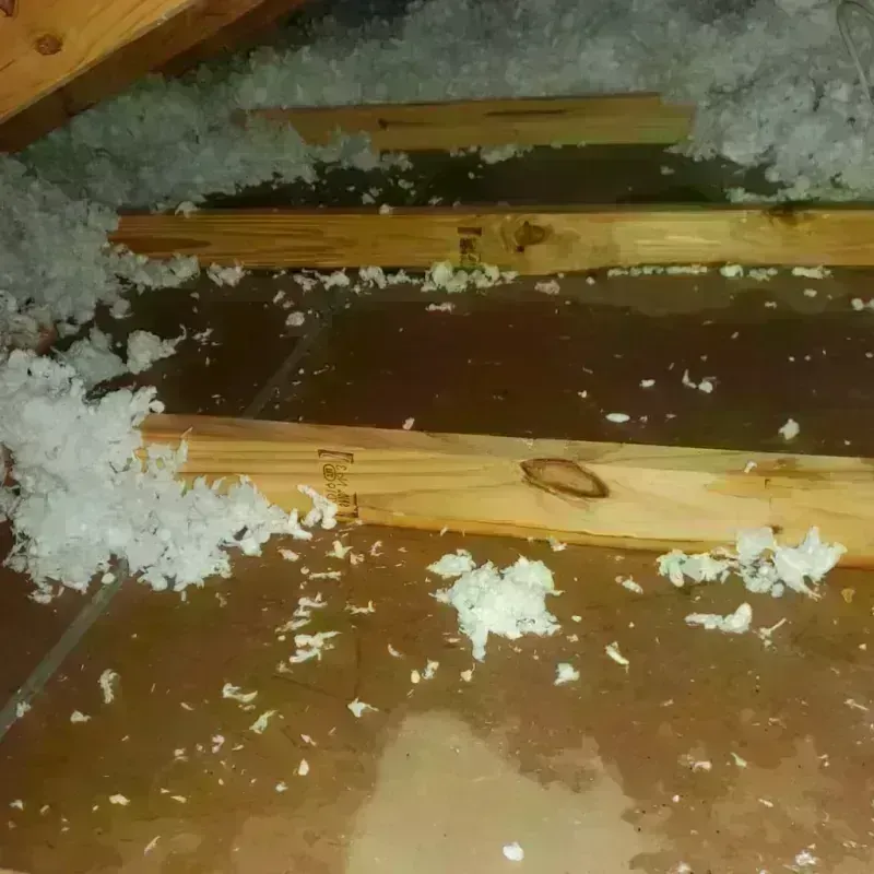 Attic Water Damage in Hideaway, TX