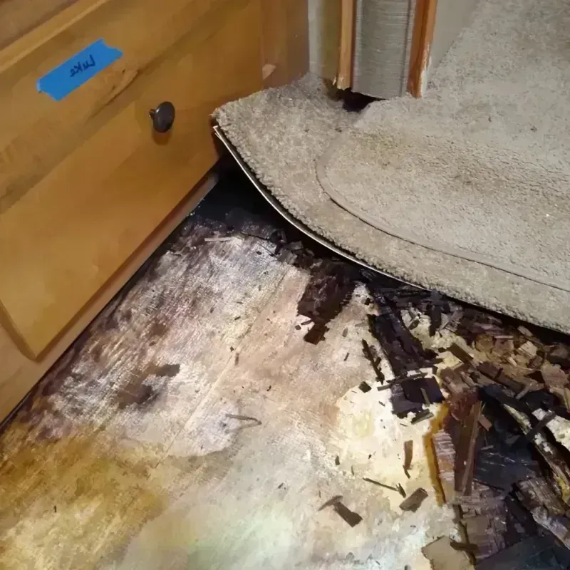 Best Wood Floor Water Damage Service in Hideaway, TX